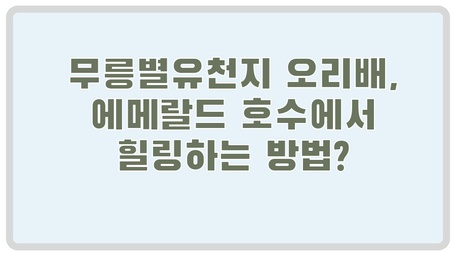 무릉별유천지 오리배, 에메랄드 호수에서 힐링하는 방법?