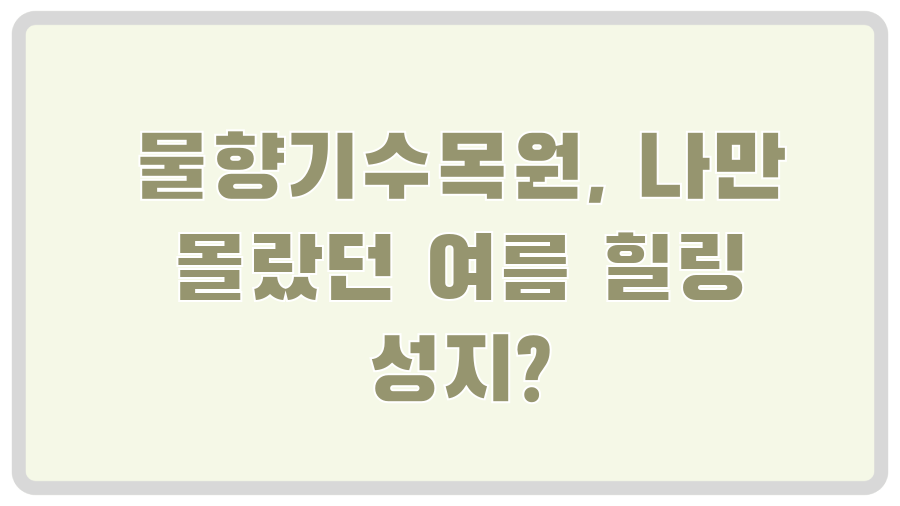 물향기수목원, 나만 몰랐던 여름 힐링 성지?